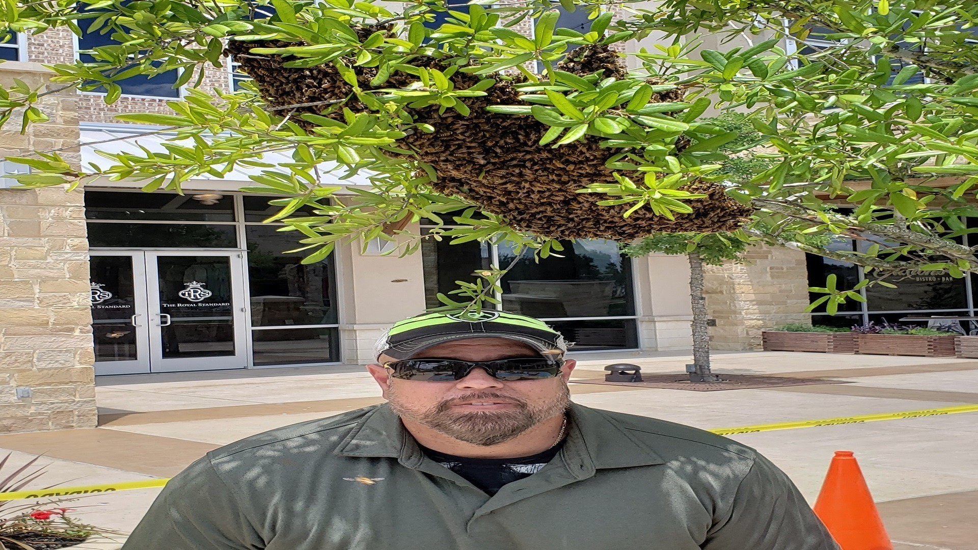 Affordable bee swarm removal San Antonio