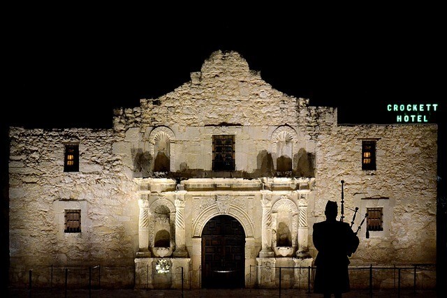 24/7 bee removal San Antonio